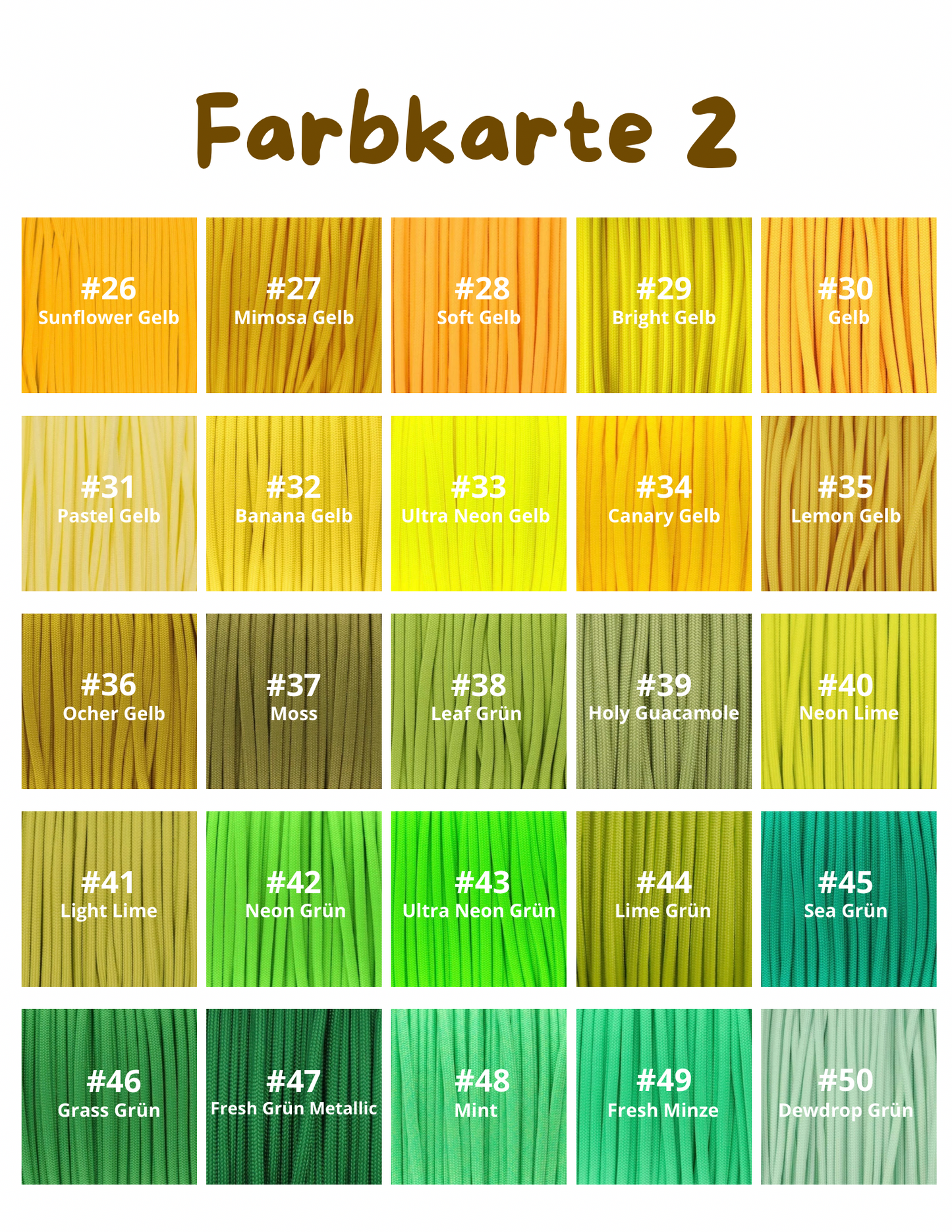 Hundeleine individuell